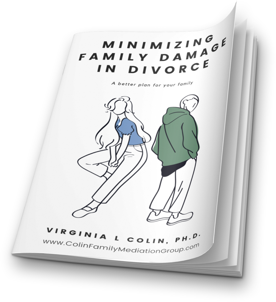 Mimimizing Family Damage in Divorce ebook